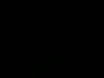 Bergeon December 23, 2024 Chaturbate stream image