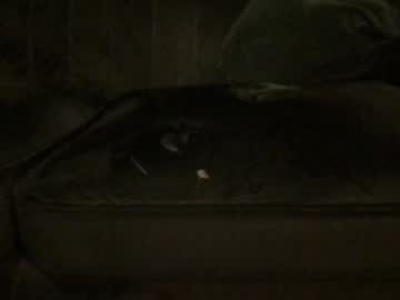 Alexandre7654 December 23, 2024 Chaturbate stream image