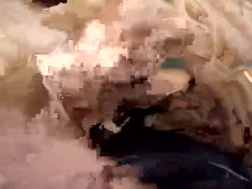 Dtae274 December 23, 2024 Chaturbate stream image
