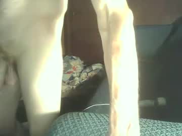 Fred_Spooner2 December 23, 2024 Chaturbate stream image
