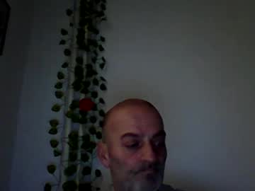 Vanko781 December 24, 2024 Chaturbate stream image