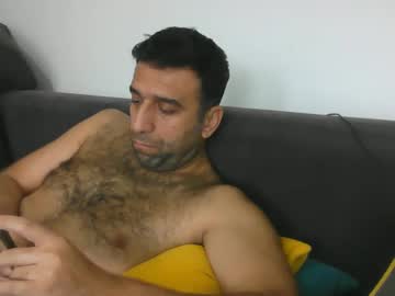 Sedulo December 24, 2024 Chaturbate stream image