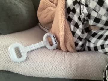 Shyboy0533 December 24, 2024 Chaturbate stream image