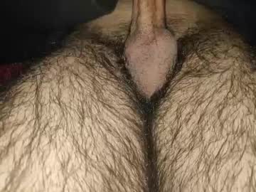 R3haan December 24, 2024 Chaturbate stream image