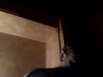 Gonzalobilbaogon December 24, 2024 Chaturbate stream image