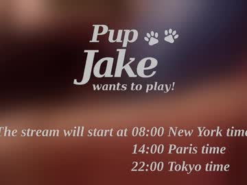 Pup_Jake December 25, 2024 Chaturbate stream image