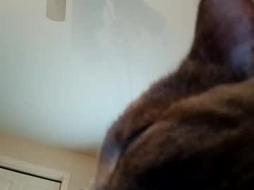 2_Of_Us2024 December 26, 2024 Chaturbate stream image
