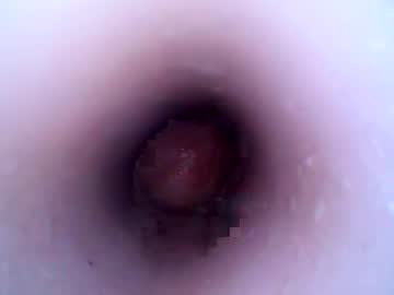 Hardhammerboy December 26, 2024 Chaturbate stream image