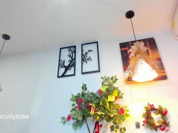 Curlyrose_ December 26, 2024 Chaturbate stream image