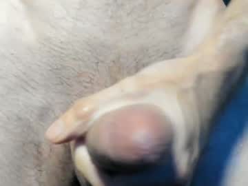 Dvss_908 December 26, 2024 Chaturbate stream image