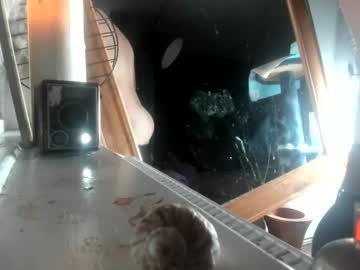 Handncocknocum December 27, 2024 Chaturbate stream image