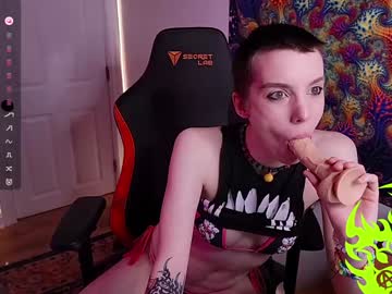Lynxanarres December 28, 2024 Chaturbate stream image