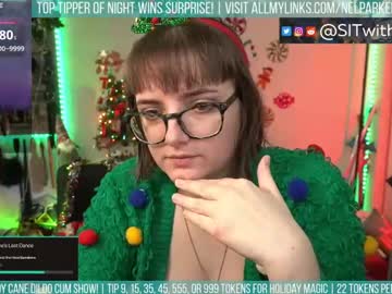 Nelparker December 28, 2024 Chaturbate stream image