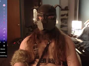 Kinkywolf87 December 28, 2024 Chaturbate stream image