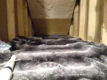 Chastebetabitch December 28, 2024 Chaturbate stream image