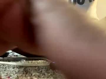 Fuckme442167076 December 28, 2024 Chaturbate stream image