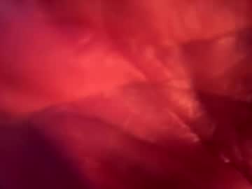 Dannysinferno December 28, 2024 Chaturbate stream image