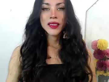 Ursepreme_Ts December 29, 2024 Chaturbate stream image