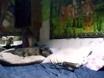 Radliksu December 29, 2024 Chaturbate stream image