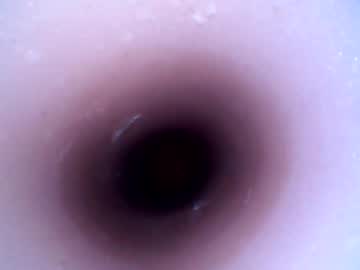 Hardhammerboy December 29, 2024 Chaturbate stream image
