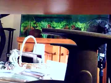 Woodyforyou2 December 30, 2024 Chaturbate stream image