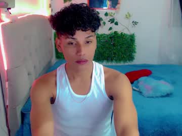 Diaval_11 December 30, 2024 Chaturbate stream image