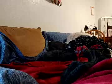Shelbycrazy December 30, 2024 Chaturbate stream image