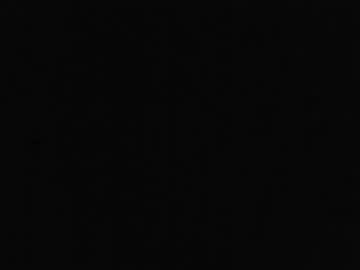 Todd_1 December 30, 2024 Chaturbate stream image