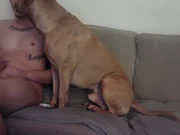 Bigwillydick69 December 30, 2024 Chaturbate stream image