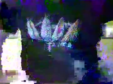 Hotbrabanderke December 30, 2024 Chaturbate stream image