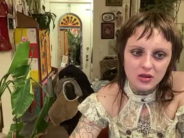 Clitcorner1369 December 31, 2024 Chaturbate stream image