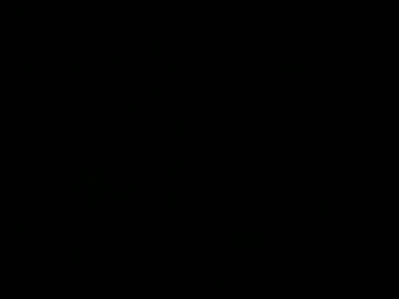 Bergeon December 31, 2024 Chaturbate stream image