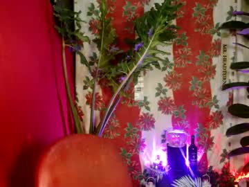Urbigloadedguy0822 December 31, 2024 Chaturbate stream image