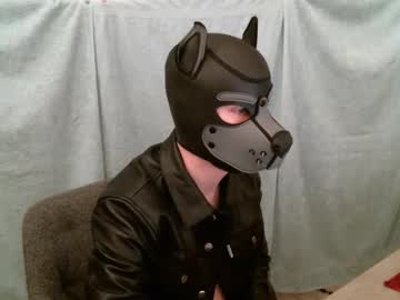 Pup_Brodie December 31, 2024 Chaturbate stream image