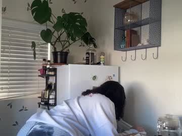 Dreamyriri January 01, 2025 Chaturbate stream image