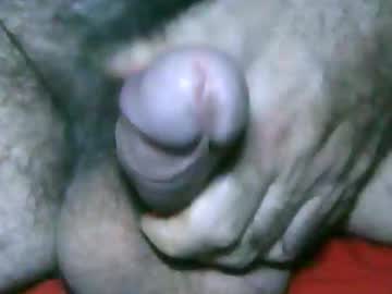 Fer_2197 January 02, 2025 Chaturbate stream image