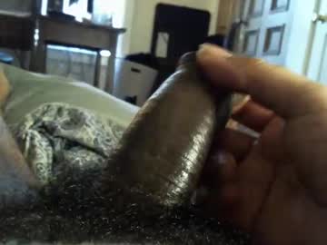 Coyote_001 January 02, 2025 Chaturbate stream image