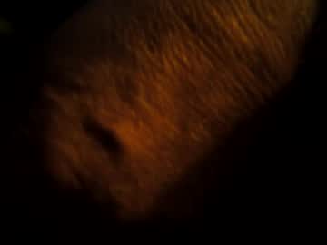 Handiman101 January 02, 2025 Chaturbate stream image