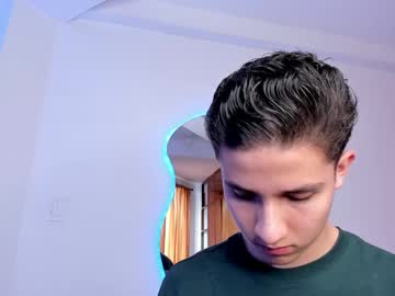 Theohawke_ January 02, 2025 Chaturbate stream image
