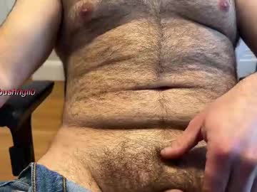 Bushrigilo January 02, 2025 Chaturbate stream image