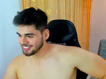 Hans_Fox03 January 03, 2025 Chaturbate stream image