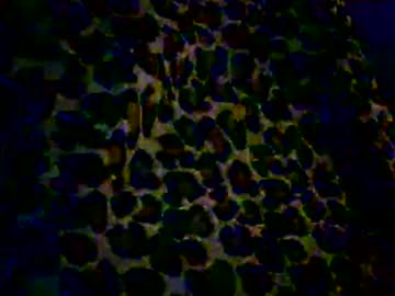 Tapageur_21 January 03, 2025 Chaturbate stream image