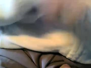 Mistersilver66 January 03, 2025 Chaturbate stream image