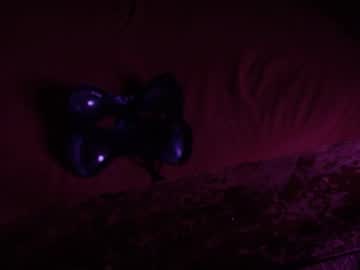Yul_Z January 03, 2025 Chaturbate stream image