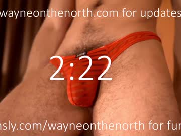 Waynenorth January 04, 2025 Chaturbate stream image
