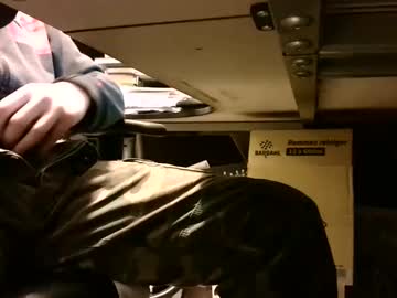 Lonelypumabreizh stream photo from January 04, 2025