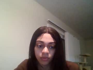 Stickydewbee January 04, 2025 Chaturbate stream image