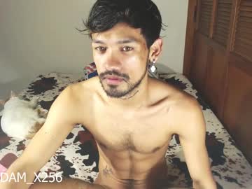 Adam_X256 January 04, 2025 Chaturbate stream image