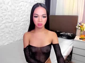 Asianhugecockkim January 05, 2025 Chaturbate stream image