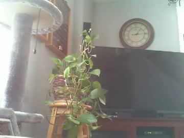 Impala765 January 05, 2025 Chaturbate stream image
